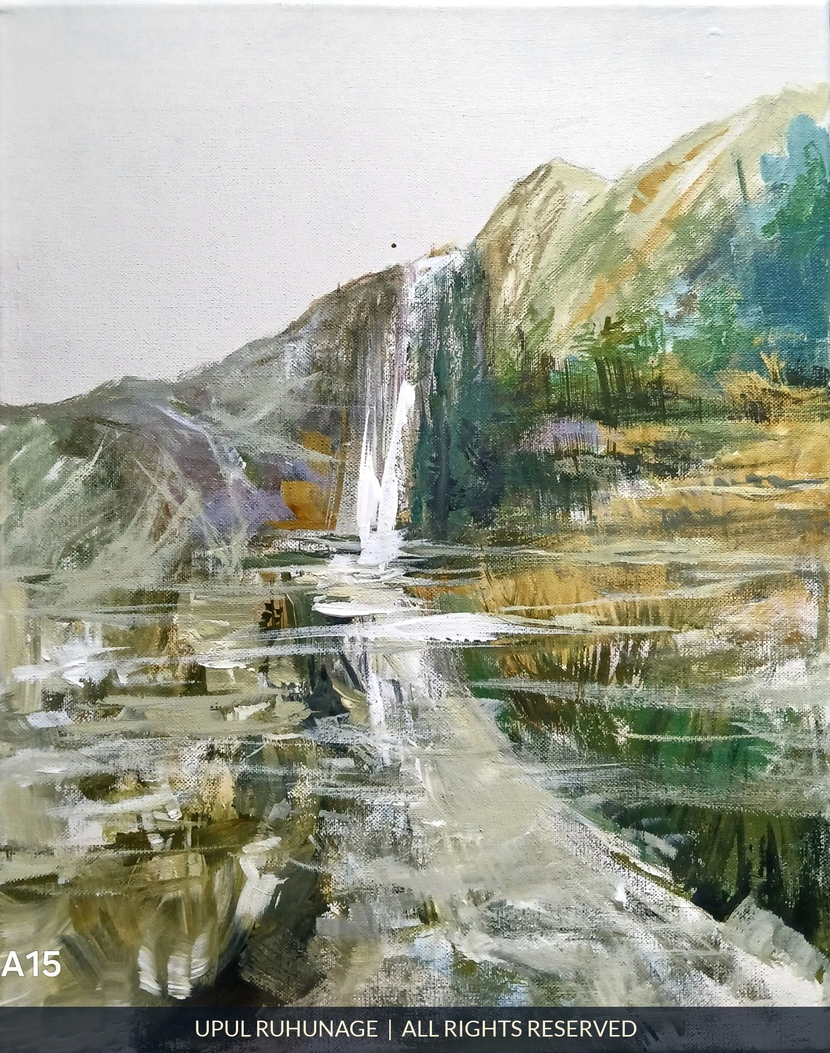 Falls in the Highlands