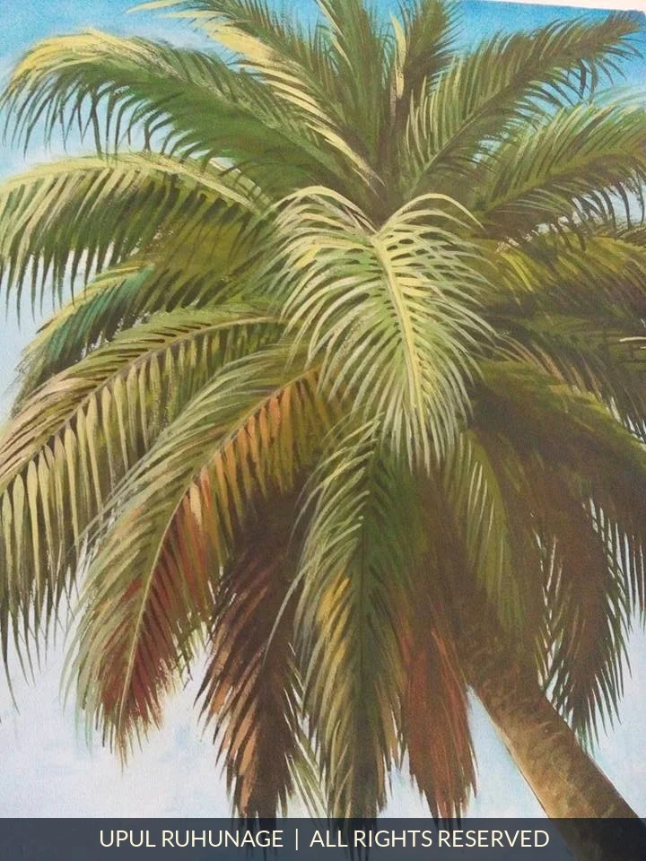 Solitary Palm