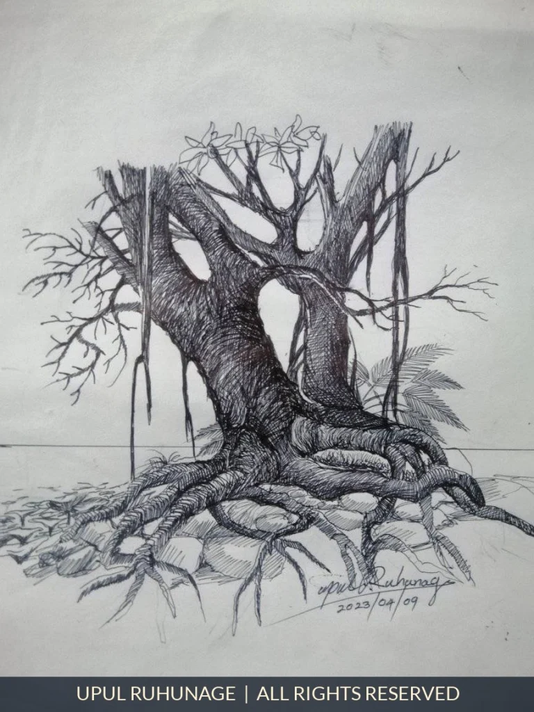 Roots and Branches